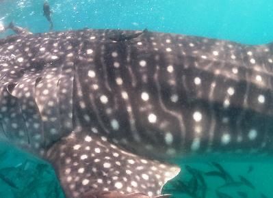 84e652f0-49e7-440b-92b1-1c3684b7900d