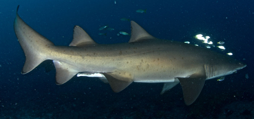 d9f6a2f7-3035-4d7e-8183-669e0d863ef6