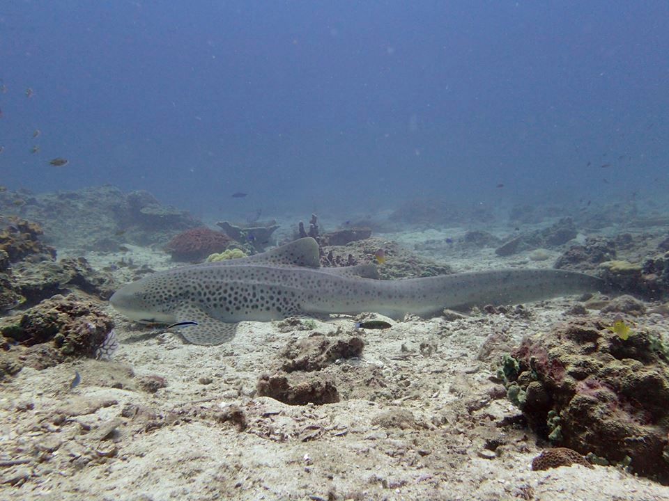 d59a091c-493d-4bcb-95ee-4b333a268e13