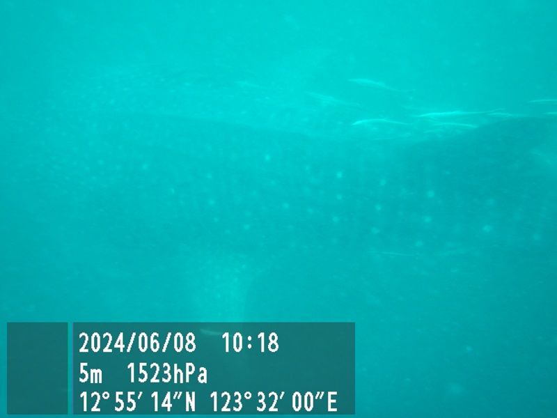 c7454dc3-3856-4caf-894b-948fc0ae3112