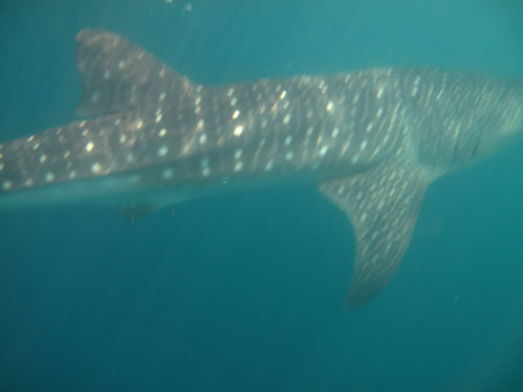 17eb045d-7576-4554-9883-5b6c3b88385e