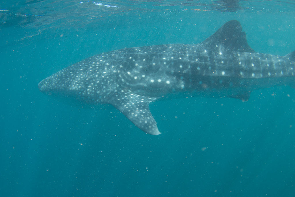 321e7450-cdd9-4e01-b48e-6c3bcf09441e