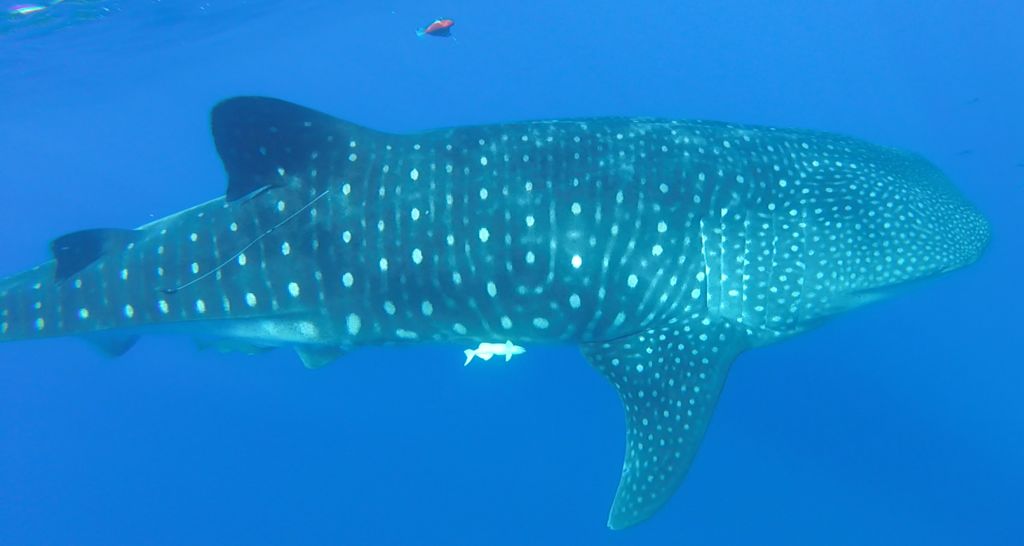 649b8d58-41b3-4bc7-acb2-96eb230acc93