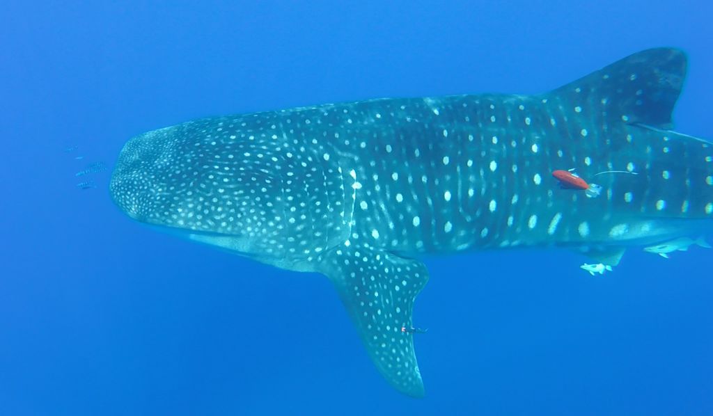 649b8d58-41b3-4bc7-acb2-96eb230acc93