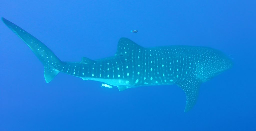 649b8d58-41b3-4bc7-acb2-96eb230acc93