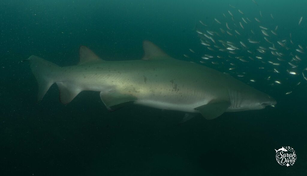 d4650413-3983-4b24-acce-fd445df38959