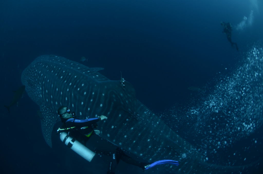 38947b94-0a07-4098-9a21-3911d3fba1cc