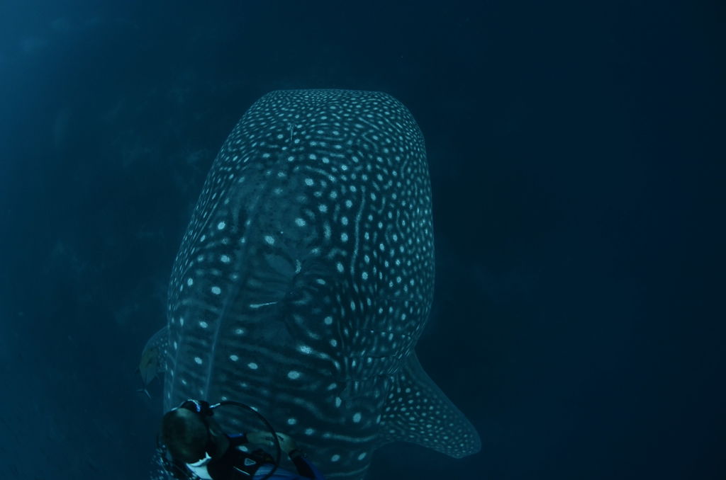 38947b94-0a07-4098-9a21-3911d3fba1cc