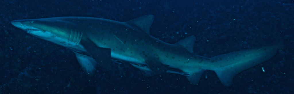 daee4caf-b665-4d4b-a54c-820ef706033d