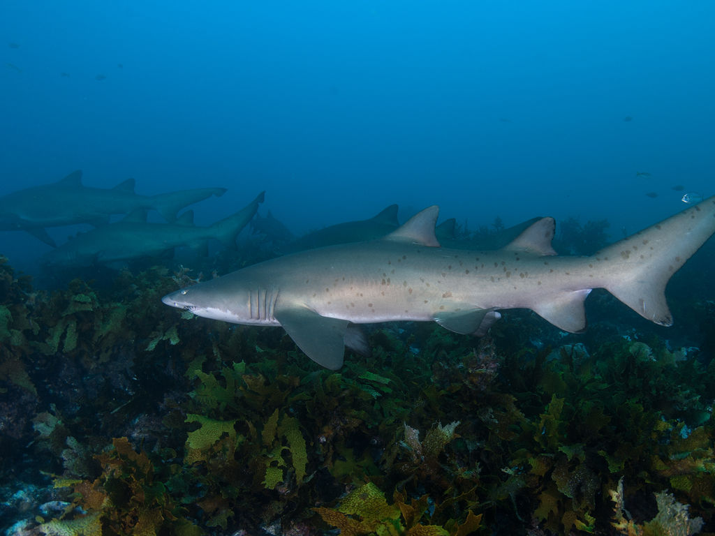 b53eb322-4a2a-4b69-8ada-9fb84a907647