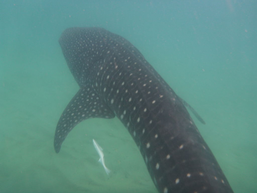 c56d13d1-ff31-46f6-9cbb-a1b705021e61