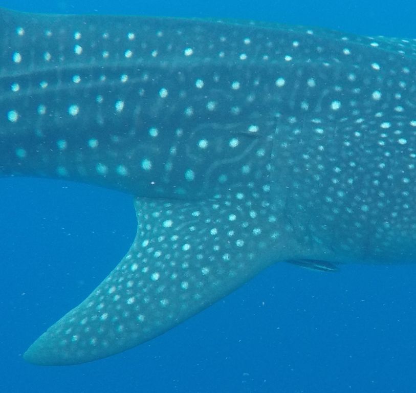 4f710282-59bc-415c-8a0d-8b125997e918