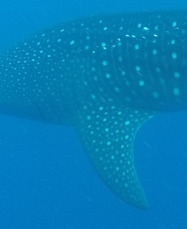 4f710282-59bc-415c-8a0d-8b125997e918