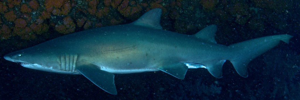 fca2e92b-7b30-48a2-bf1e-ad2acad1b846