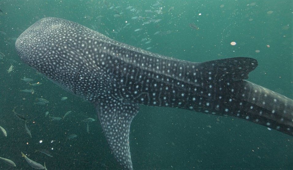 8565aa9f-1e87-4d0e-802a-d8d370aa5635