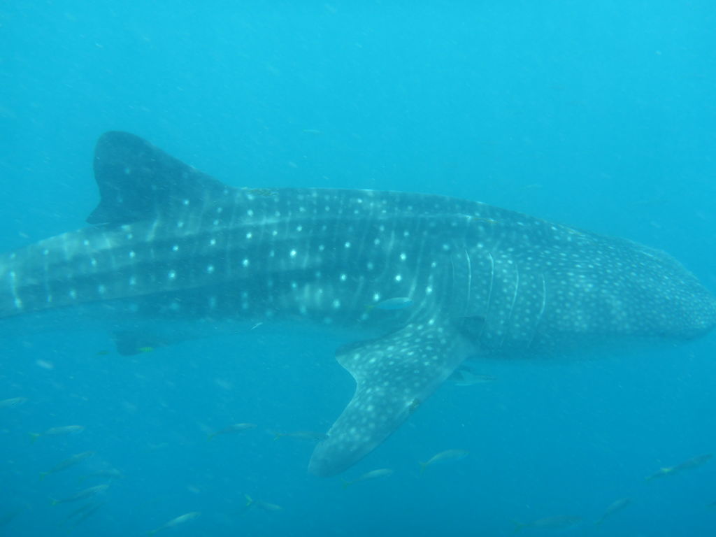 797d55ea-5634-4251-b64e-d3ab8909bf97