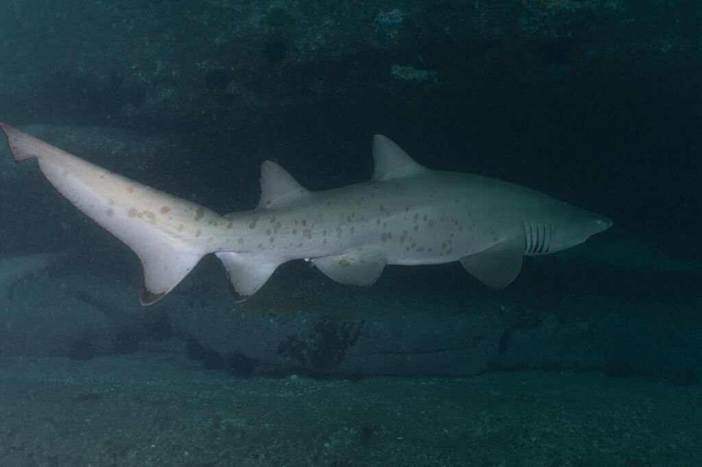 79b4579d-0125-4167-a084-cc841a05f0d7