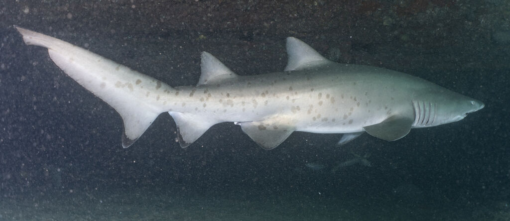 79b4579d-0125-4167-a084-cc841a05f0d7