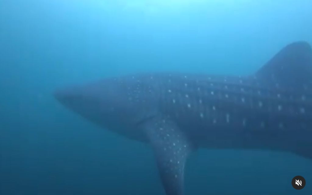 58be90f6-0711-44c8-8a1f-6d29f36bbd5b