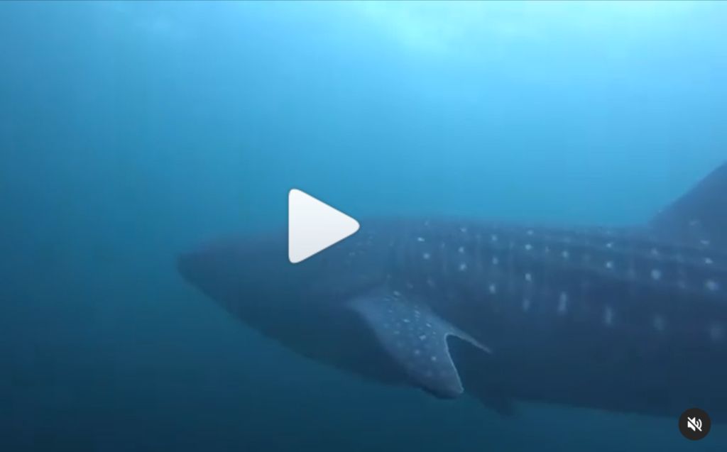 58be90f6-0711-44c8-8a1f-6d29f36bbd5b