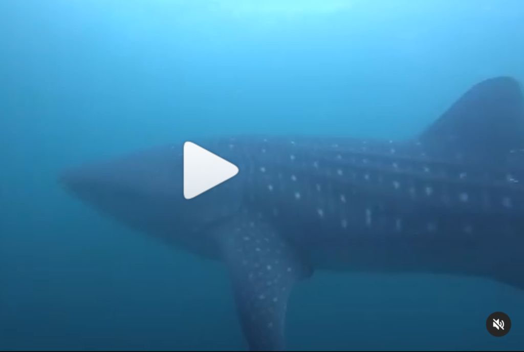 58be90f6-0711-44c8-8a1f-6d29f36bbd5b