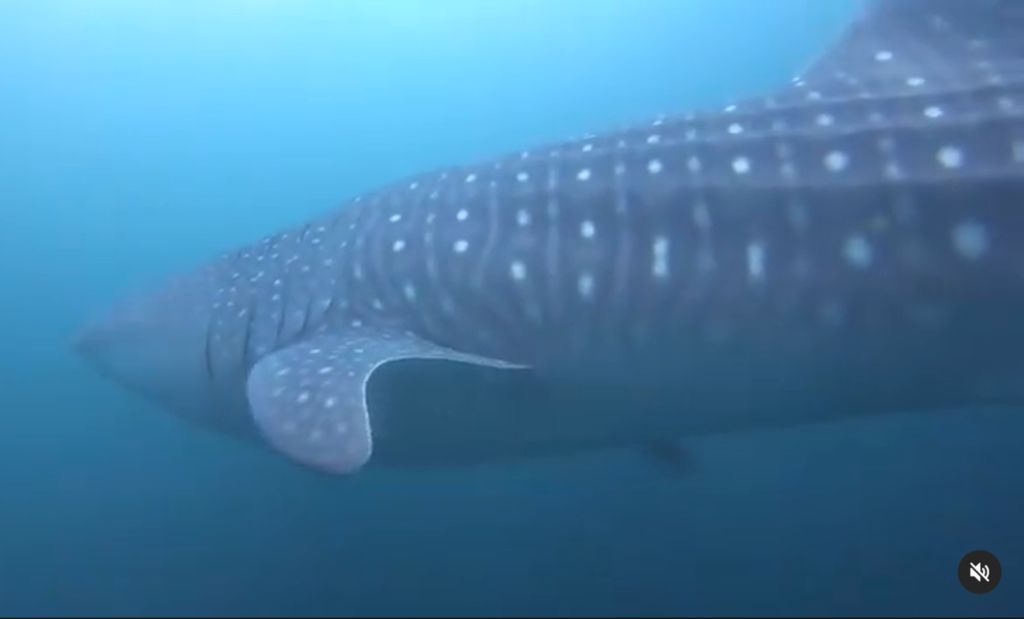 58be90f6-0711-44c8-8a1f-6d29f36bbd5b