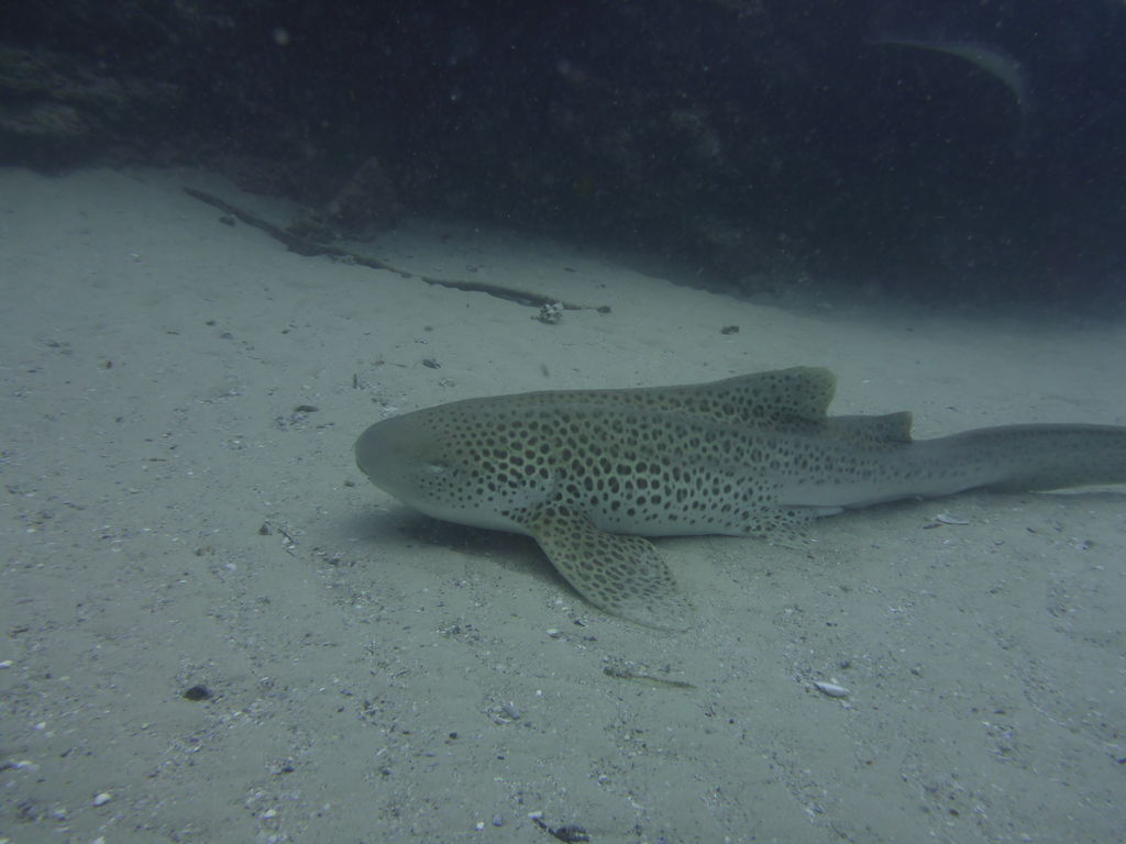 ed7aef77-69bb-48c1-b540-78e398e62408