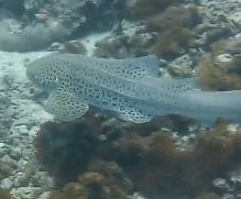 64192634-0d4f-4c8f-bd82-72d23e55dbfc