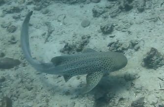 64192634-0d4f-4c8f-bd82-72d23e55dbfc