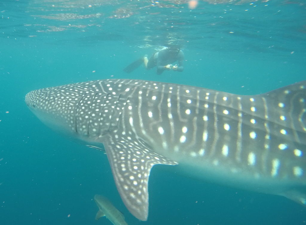 e17b6ad1-ea63-45ae-a895-80a13719f6e0