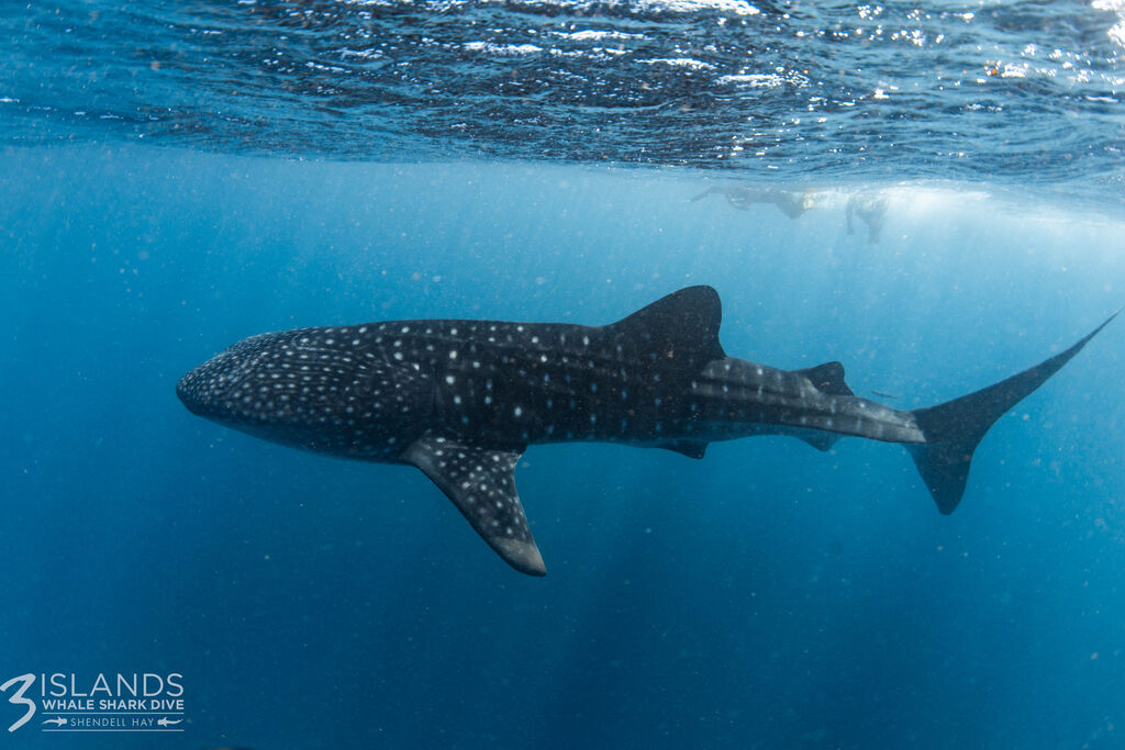 2d870c83-b321-4505-ad02-479b5b12bfa0