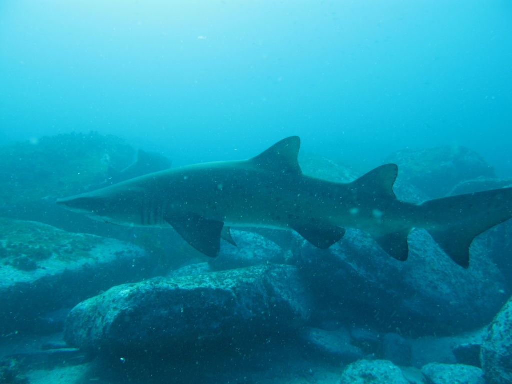 dd5e2a4c-c592-425c-9a57-39a450aaebe9