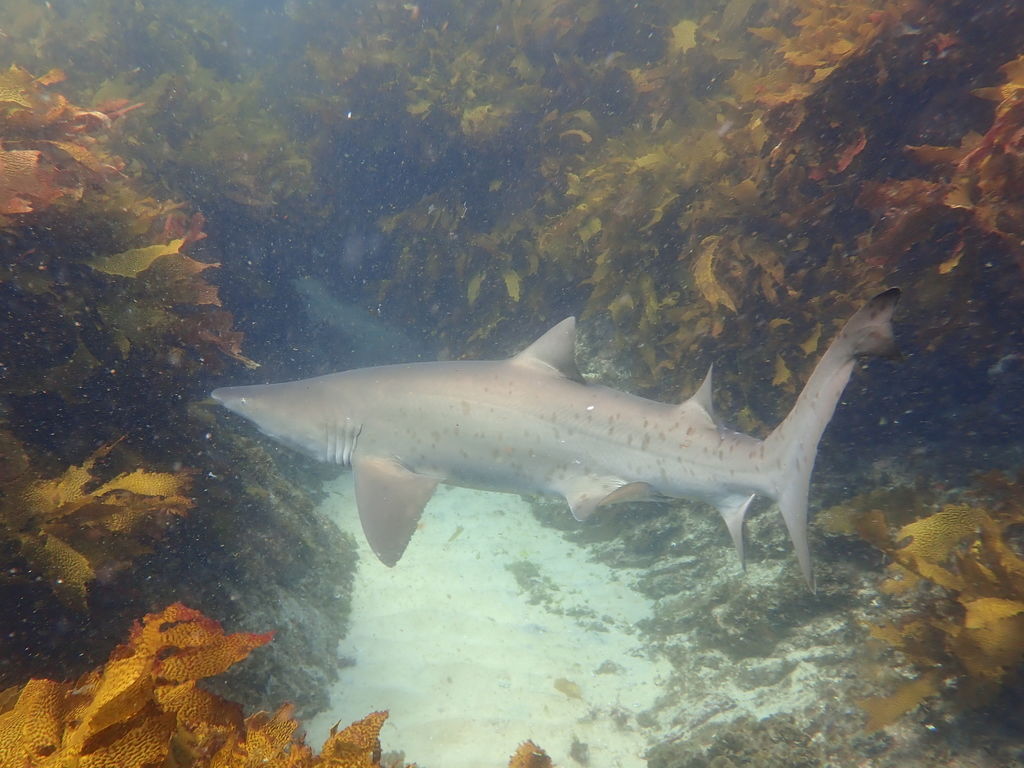 0ae3196e-2c0b-414c-be04-3aea691c3dfb