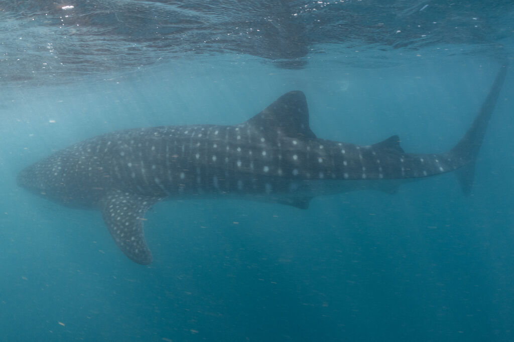 c4841e36-fffa-412f-bfc5-052cd17b7afd