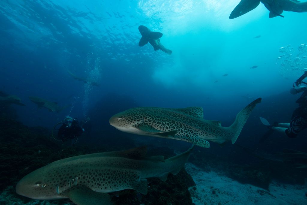 3ece43f8-70df-4fbc-a889-56bbe78cbbf7