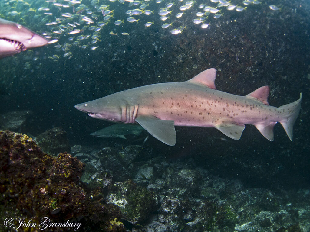 62d8a0a8-e374-4467-a889-9a4bea22cd45