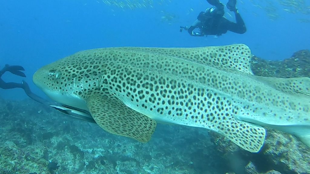 be9c2204-d4f9-41e0-a0d7-b3f62d560667