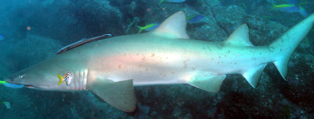 ce66660d-8160-45bb-b45c-203c581ecce3