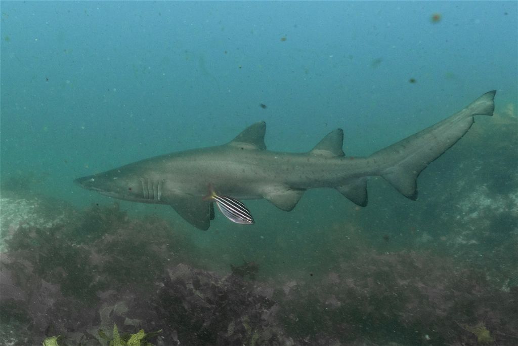 8e9d659c-4190-4481-a24a-5f6e8cfae6bc