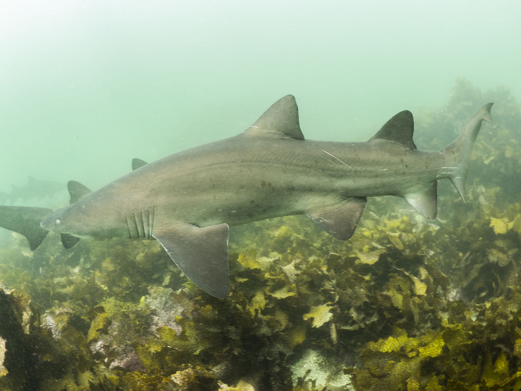 d8cfac16-21fd-4dea-b7cf-90ad1a162959