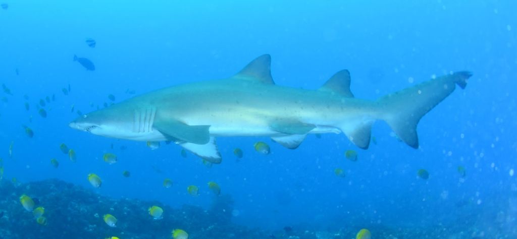 4e41c2b8-2a3a-4a9d-8ed7-e8f549255331