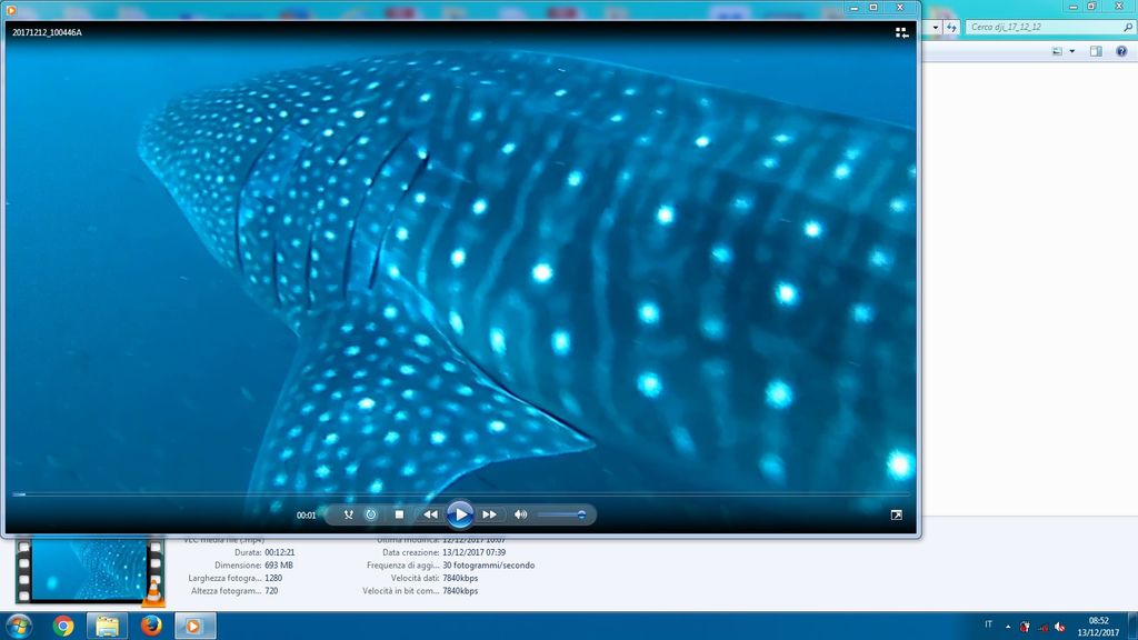 d8a2df5a-50c1-4d1e-a88d-7ddad8ffc9c7