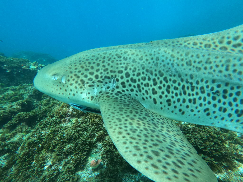 ccb08773-001e-4be7-bd97-a417e4737a33