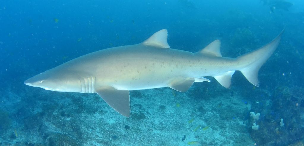 4f44ecc3-72fd-4682-87f2-f78086db62b4