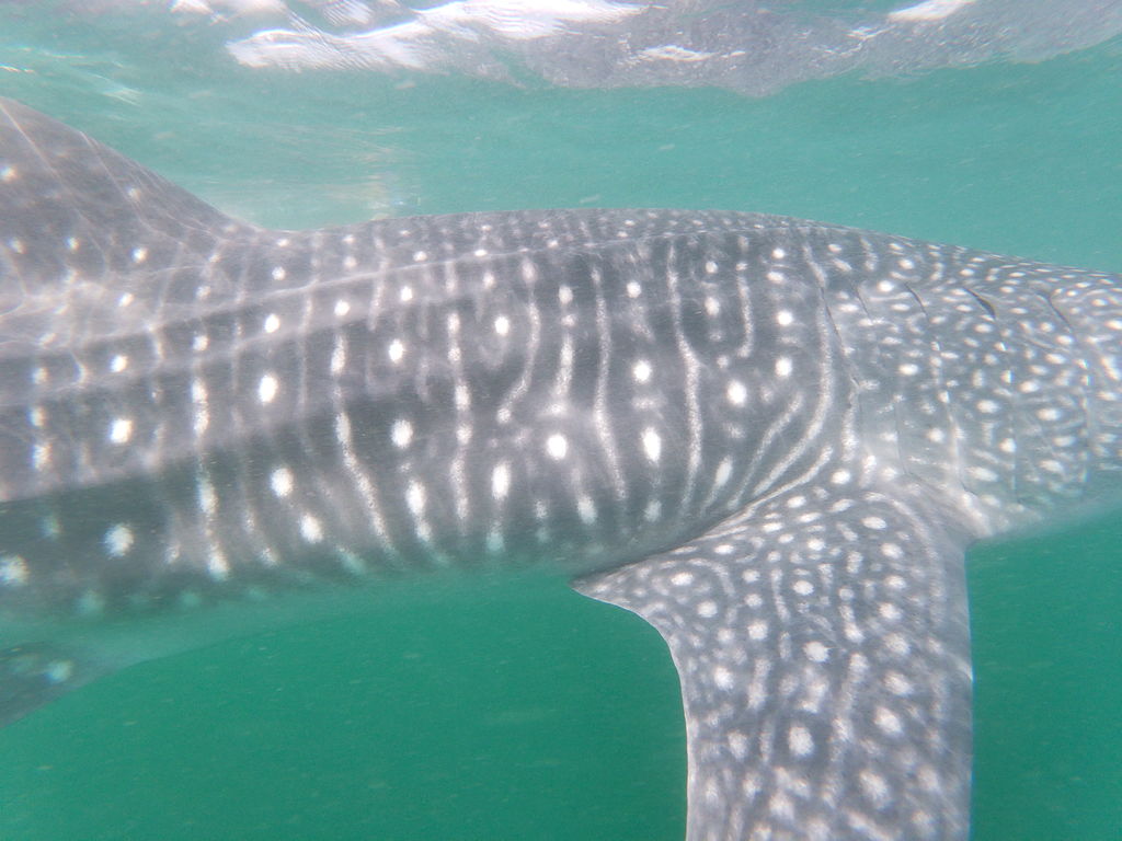 17144daa-32ba-48a0-b9a9-f4349556bc0e