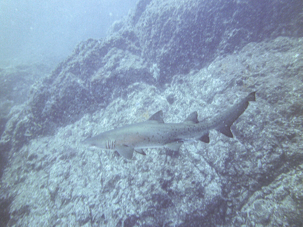 f7083239-d847-4fbf-a663-384909549df8