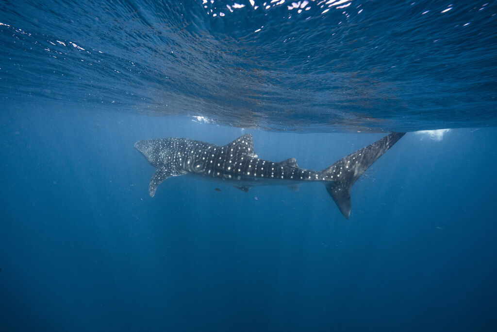 3cb21992-6410-4dd8-9274-bbac0df16a01