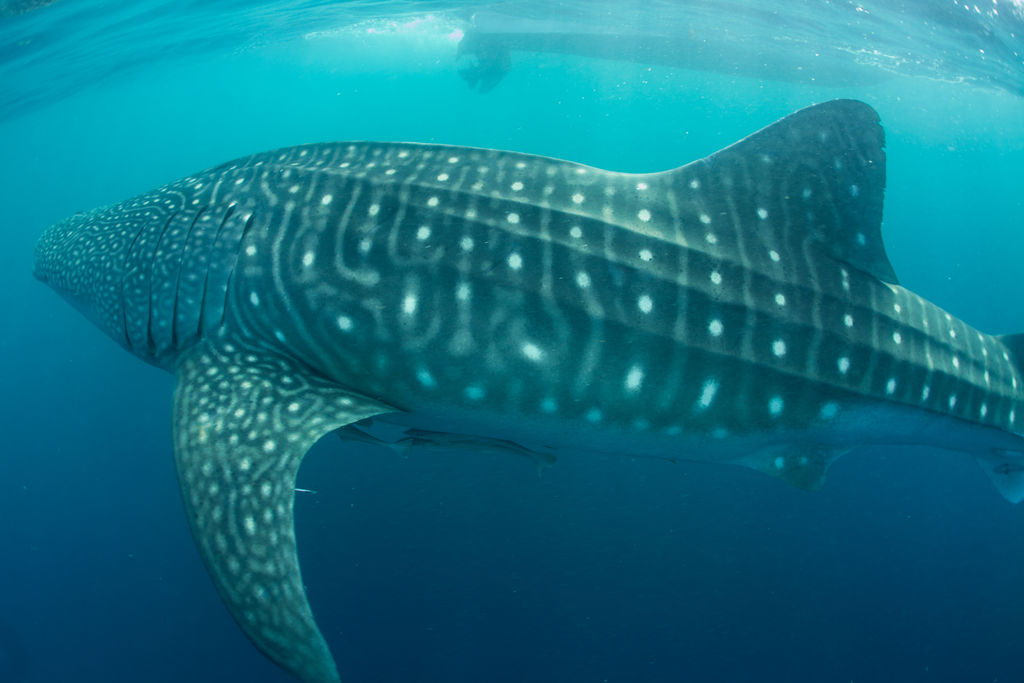 57127a28-06fd-4765-8d4e-2074877c90ca