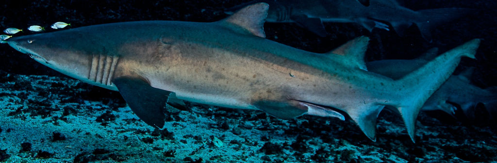 ab070288-d14e-4128-9112-c53229c636b0