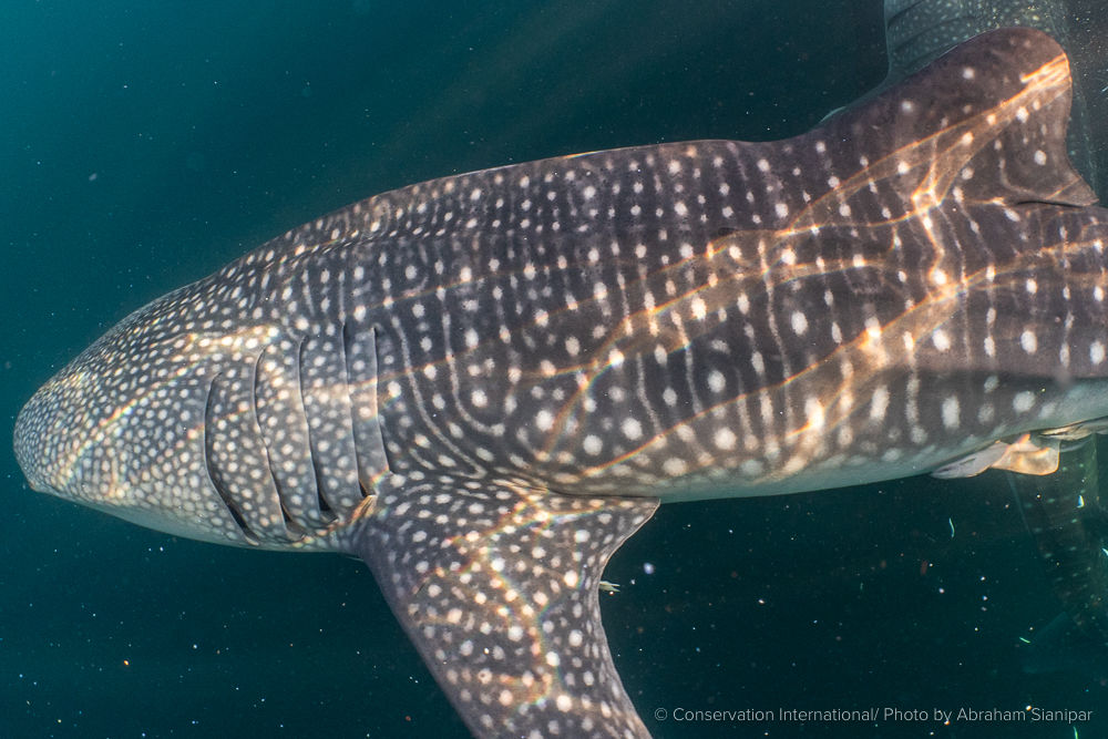 3729bc1b-8b7e-4fc9-a500-107a348b94b1